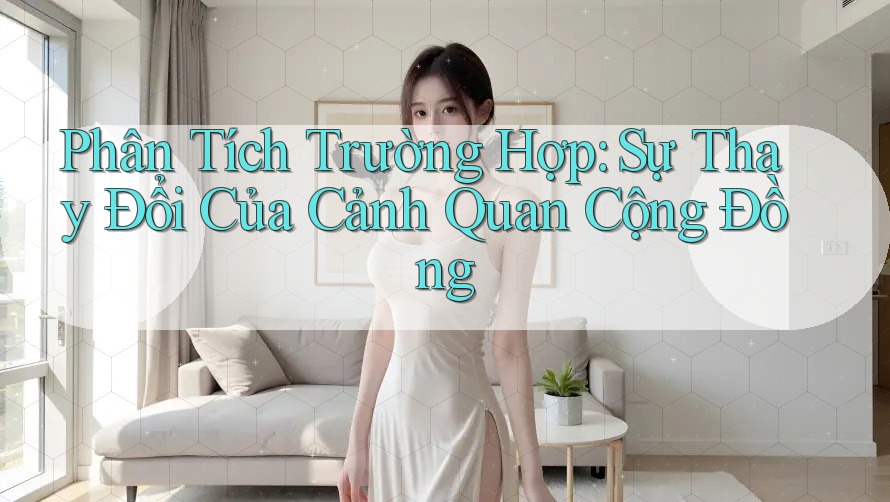 Phân Tích Trường Hợp: Sự Thay Đổi Của Cảnh Quan Cộng Đồng